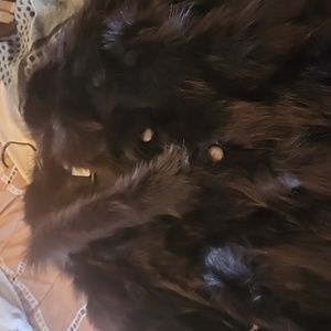 Cosmopel fox fur jacket